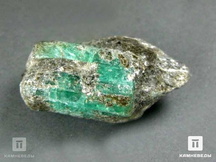Берилл зелёный, кристалл в сланце, 10-117, фото 2