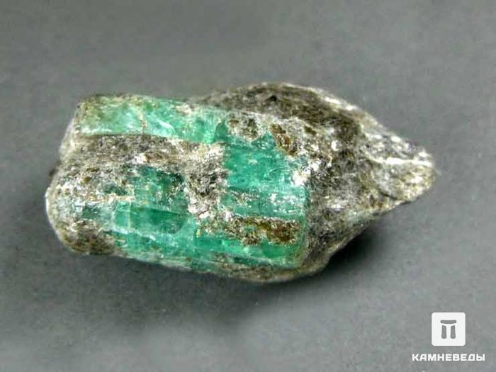 Берилл зелёный, кристалл в сланце, 10-117, фото 1