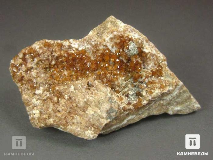 Гранат гроссуляр, 3,5-8,5 см, 10-158/2, фото 6