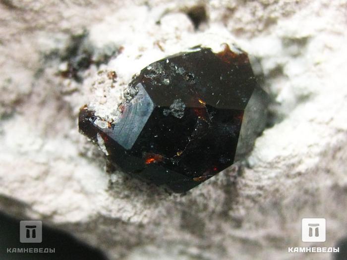 Гранат (альмандин) в риолите, 6,9х6х4,4 см, 10-182/2, фото 2
