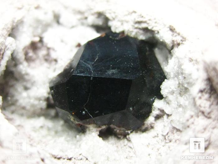 Гранат (альмандин) в риолите, 6,4х5х5 см, 10-182, фото 4