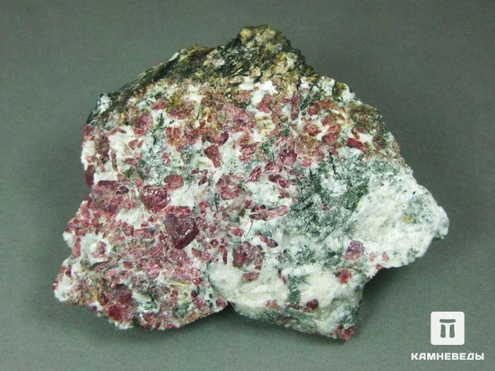 Эвдиалит, кристаллы в породе, 10-014/1, фото 1