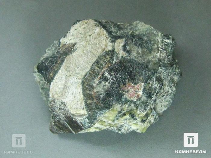 Гидродельхайелит с рихтеритом и астрофиллитом, 10-266, фото 3