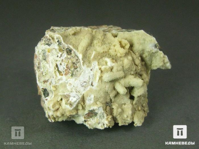 Фторапатит карбонатистый (франколит), 10-309, фото 3