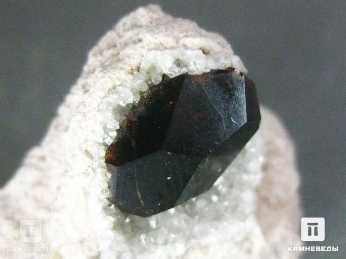 Гранат (альмандин) в риолите, 2,3х1,8х1,3 см, 10-182/6, фото 2