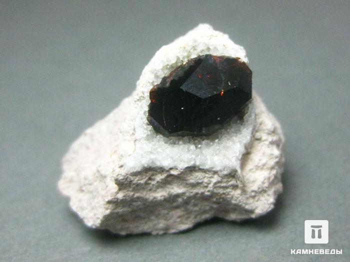 Гранат (альмандин) в риолите, 2,3х1,8х1,3 см, 10-182/6, фото 1