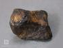 Метеорит Agoudal железный, 1,5-2,5 см (4-5 г), 10-184/5, фото 2
