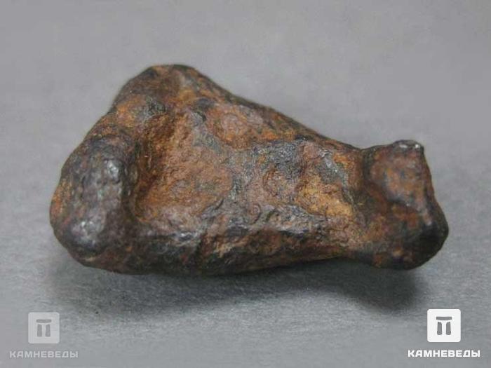 Метеорит Agoudal железный, 1,5-2,5 см (4-5 г), 10-184/5, фото 3