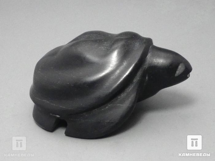 Черепаха из шунгитового сланца, 6х4,4х2,8 см, 23-82, фото 2
