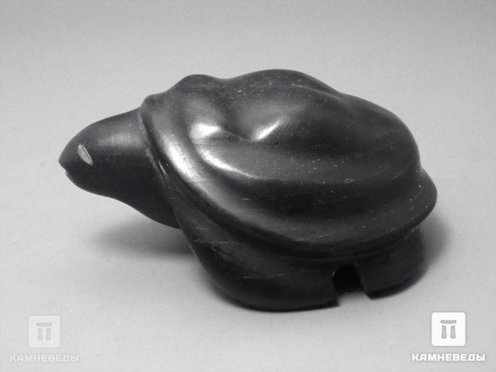 Черепаха из шунгитового сланца, 6х4,4х2,8 см, 23-82, фото 3