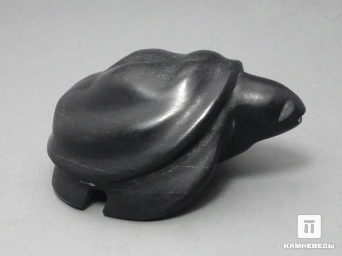 Черепаха из шунгитового сланца, 6х4,4х2,8 см, 23-82, фото 1