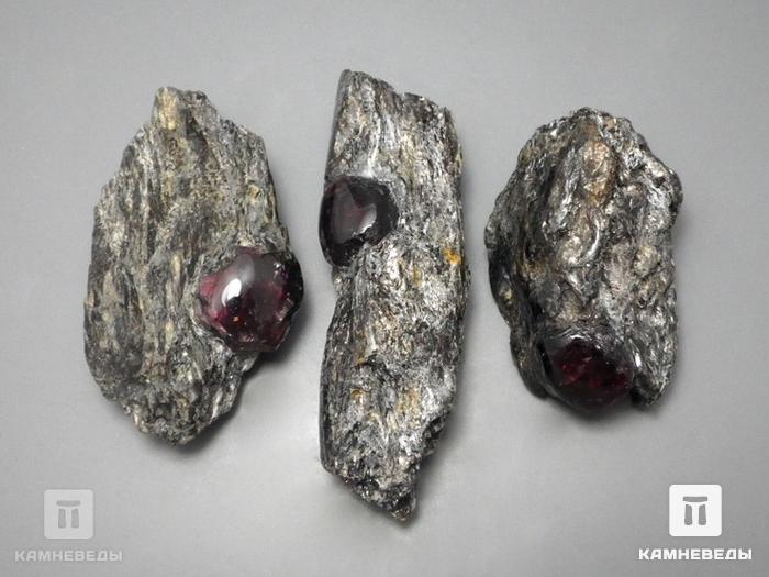 Гранат альмандин в метаморфическом сланце, 5-9 см, 10-297/4, фото 3