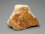 Гранат гроссуляр, 4,5-6 см, 10-158/22, фото 1