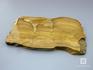 Строматолиты из Орловской области, полированный срез 19х12,5х1,1 см, 11-65/12, фото 2