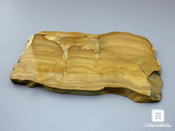 Строматолиты из Орловской области, полированный срез 19х12,5х1,1 см, 11-65/12, фото 2