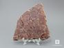 Строматолиты Sundosia mira из Сундозера, Карелия, 11,8х11,7х0,9 см, 11-65/18, фото 1