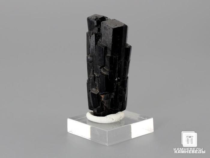 Шерл (чёрный турмалин), сросток кристаллов 4,1х2х1,5 см, 10-24/25, фото 2