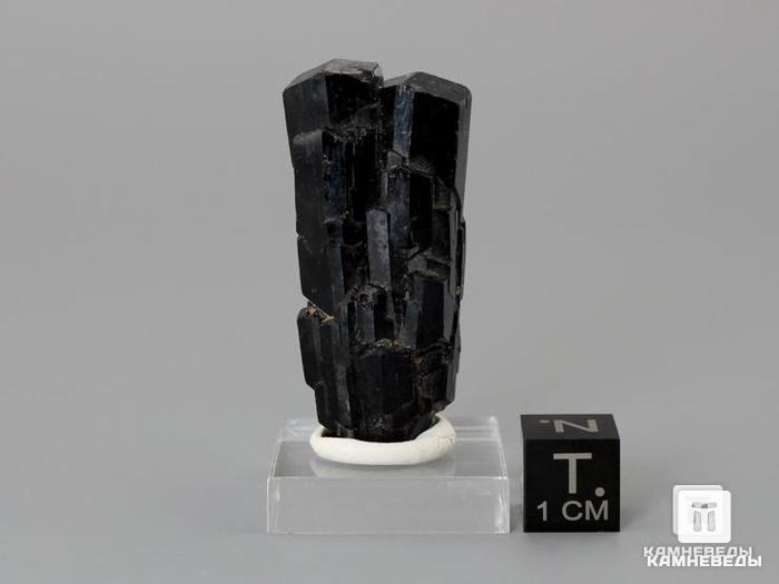 Шерл (чёрный турмалин), сросток кристаллов 4,1х2х1,5 см, 10-24/25, фото 3