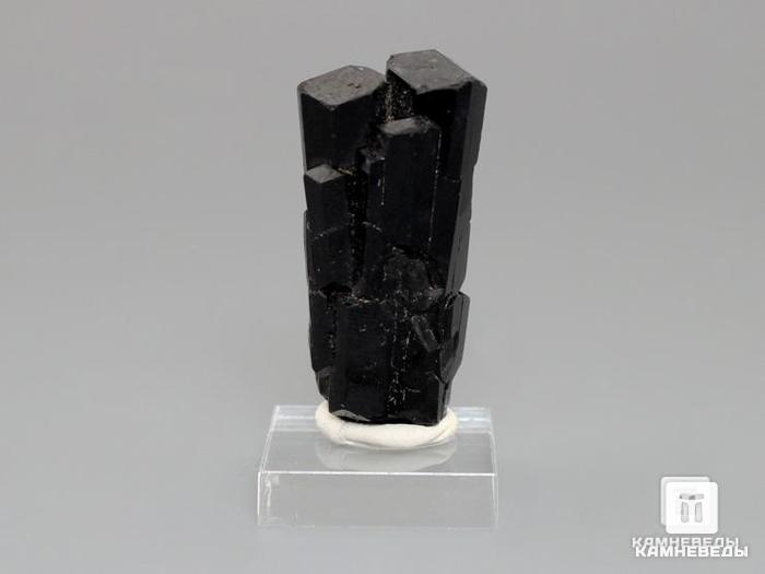 Шерл (чёрный турмалин), сросток кристаллов 4,1х2х1,5 см, 10-24/25, фото 1