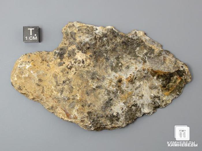Импактит из Каменского метеоритного кратера, 11,5х6,8х1,6 см, 10-285/16, фото 2