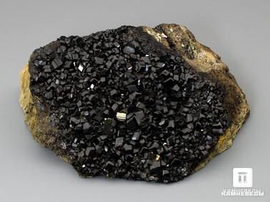 Андрадит, Гранат, Меланит (чёрный гранат). Андрадит (меланит) с пиритом, друза 12х8,4х4,2 см
