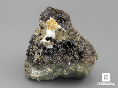 Андрадит, Меланит (чёрный гранат), Гранат. Андрадит (меланит) с пиритом и стеллеритом, друза 10,1х8,7х8,3 см