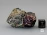 Гранат альмандин в метаморфическом сланце, 4,5х3,1х2 см, 10-297/13, фото 2