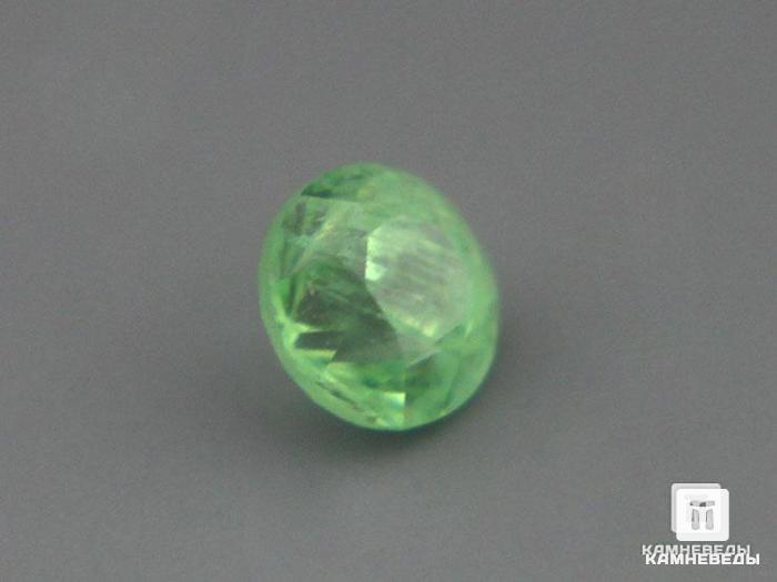 Берилл зеленый, огранка 3х2,5 мм (0,2 ct), 9-40/62, фото 2