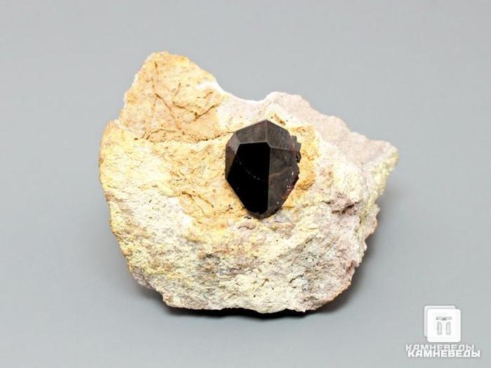 Гранат (альмандин) в риолите, 3,9х3,4х2,5 см, 10-182/7, фото 1