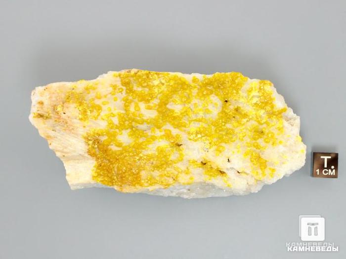 Пироморфит, 10х4,9х4,4 см, 10-205/13, фото 3