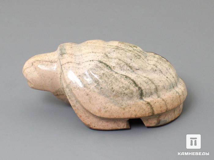 Черепаха из скарна, 6х4х2,5 см, 23-9/1, фото 2