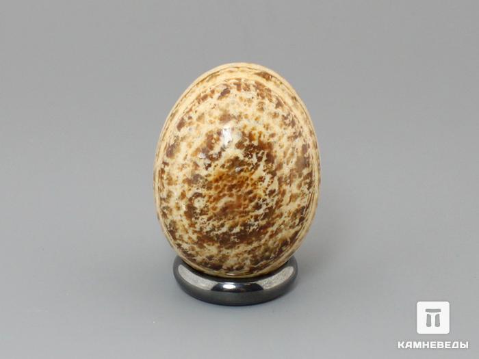 Яйцо из арагонита, 4,5х3,5 см, 22-51/7, фото 1