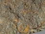 Трилобит Selenopeltis sp. на породе, размер 25х17х3,5 см, 8-67/4, фото 4