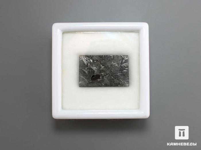 Метеорит Taza (NWA 859) с троилитом, 2,5х1,6х0,2 см, 10-571, фото 3