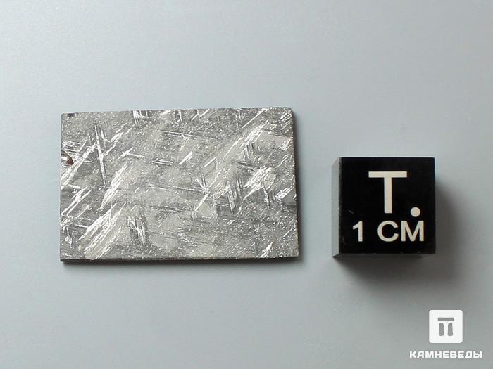 Метеорит Taza (NWA 859) с троилитом, 2,5х1,6х0,2 см, 10-571, фото 2