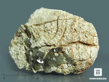 Демантоид (зелёный андрадит), Андрадит, Гранат. Демантоид, кристаллы на породе 6х4,2х2,5 см
