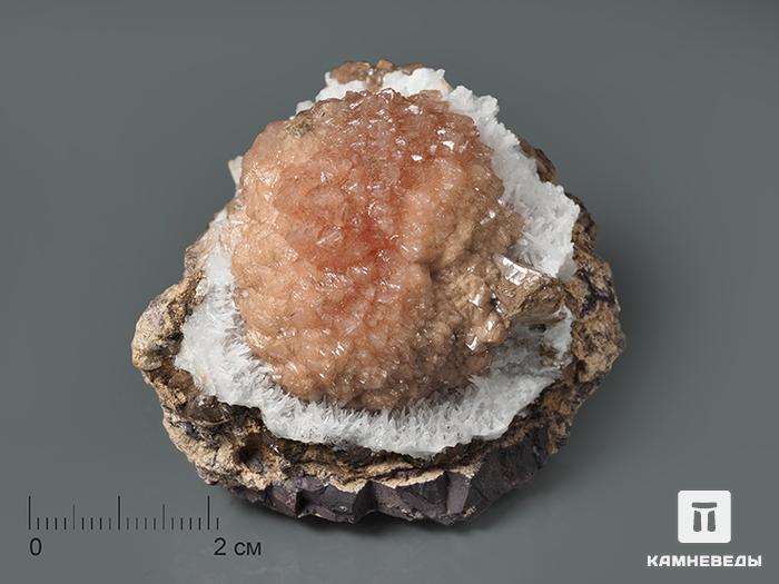 Олмиит с целестином, 5,8х4,7х4,3 см, 10-411/6, фото 1