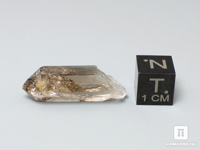 Дымчатый кварц (раухтопаз), кристалл 1,5-2,5 см, 10-170/6, фото 2