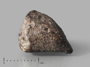Метеорит NWA 869, 1,5-2 см (3-4 г)