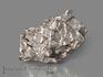 Метеорит Кампо-дель-Сьело, осколок 3-4 см (26-28 г), 10-333/5, фото 1