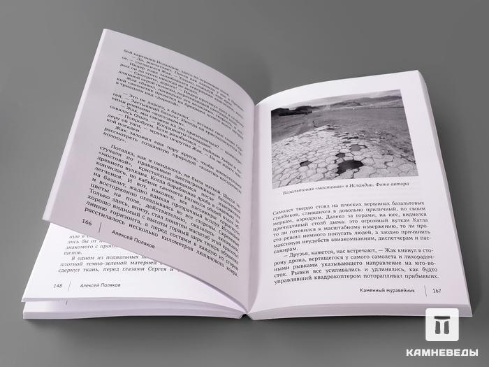 Книга: Поляков А. «Каменный муравейник», 136, фото 3