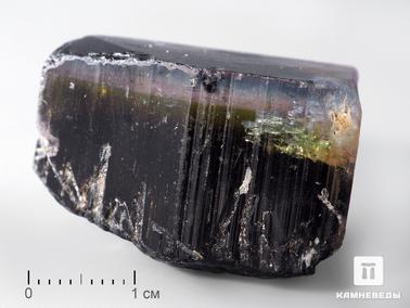 Турмалин, Верделит (зелёный турмалин), Индиголит. Турмалин полихромный, кристалл 3,2х2,1х2 см