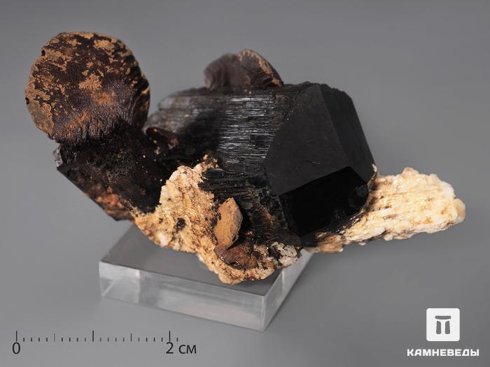 Сидерит с шерлом (чёрным турмалином) на ортоклазе, 5,6х3х2,7 см, 815, фото 1