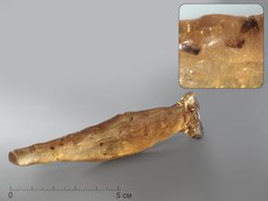 Копал. Мадагаскарский копал с инклюзами, 12х2,5х1,5 см