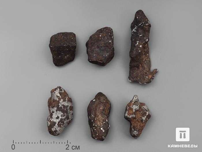 Метеорит Agoudal железный, 1-2,5 см (3-4 г), 10-184/6, фото 1