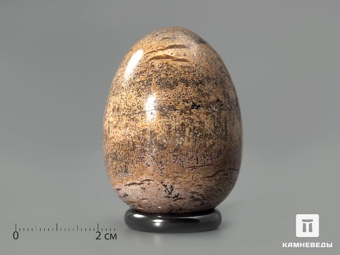 Яйцо из песочной яшмы, 5 см, 22-14, фото 1
