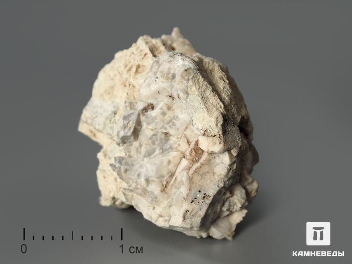 Анкилит-(Ce) в пластиковом боксе, 1,5-2,5 см, 3346, фото 1