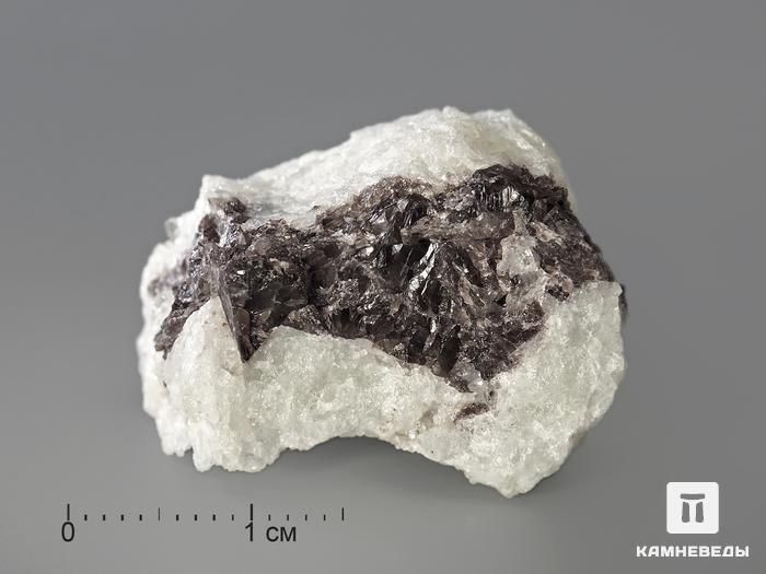 Датолит с аксинитом-(Mn) в пластиковом боксе, 2,5-3 см, 3481, фото 1