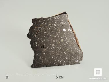 Метеориты. Метеорит Царев, 5,5х5,3х1,5 см