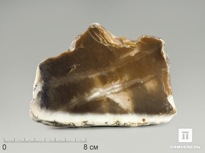 Нефрит коричневый, полированный срез 14-16 см, 4386, фото 3